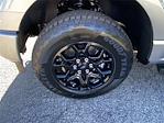 New 2025 Ford F-150 XLT SuperCrew Cab for sale #F1544 - photo 8