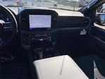 New 2025 Ford F-150 XLT SuperCrew Cab 4WD Pickup for sale #FC09412 - photo 12
