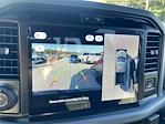 New 2025 Ford F-150 XLT SuperCrew Cab 4WD Pickup for sale #FC29111 - photo 19