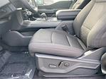 New 2026 Ford F-150 XLT SuperCrew Cab for sale #KD29866 - photo 12