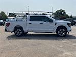 New 2025 Ford F-150 STX SuperCrew Cab Pickup for sale #KD87057 - photo 3
