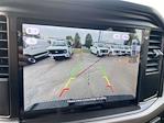 New 2025 Ford F-150 XL SuperCrew Cab 4WD Pickup for sale #KE83952 - photo 19