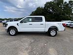 New 2025 Ford F-150 XL SuperCrew Cab 4WD Pickup for sale #KE83952 - photo 5