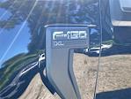 New 2025 Ford F-150 XL Regular Cab 4WD Pickup for sale #KE91124 - photo 9