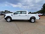New 2025 Ford F-150 XL SuperCrew Cab 4WD Pickup for sale #KF20471 - photo 6