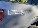 New 2025 Ford F-150 XLT SuperCrew Cab 4WD Pickup for sale #KF53722 - photo 4