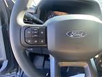 New 2025 Ford F-150 XL Regular Cab 4WD Pickup for sale #KF61334 - photo 14