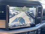 New 2025 Ford F-150 XL Regular Cab 4WD Pickup for sale #KF61334 - photo 19