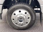 2024 Ford F-450 Crew Cab DRW 4WD Pickup for sale #P00879 - photo 10