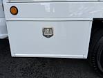 New 2026 Ford F-350 Crew Cab Contractor Truck for sale #C260119 - photo 10