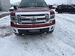 2014 Ford F-150 SuperCrew Cab 4WD Pickup for sale #EFA61406A - photo 8