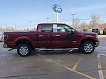 2014 Ford F-150 SuperCrew Cab 4WD Pickup for sale #EKE30279 - photo 6