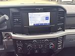 2025 Ford F-250 Regular Cab 4WD Pickup for sale #SED82691 - photo 18