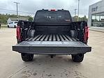 2025 Ford F-150 SuperCrew Cab 4WD Pickup for sale #SKE90193 - photo 13
