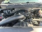 2022 Ford F-350 Regular Cab SRW 4x4 Pickup for sale #MP6204 - photo 18