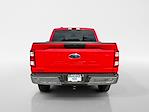 2023 Ford F-150 Regular Cab 4x4 Pickup for sale #MP6406 - photo 4