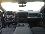 2024 Ford F-150 Regular Cab 4WD Pickup for sale #MP6770 - photo 10