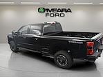 2024 Ford F-250 Crew Cab 4x4 Pickup for sale #REE63781 - photo 59