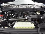 2024 Ford F-150 SuperCrew Cab 4x4 Pickup for sale #RKE42562 - photo 29