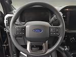 2024 Ford F-150 SuperCrew Cab 4x4 Pickup for sale #RKE88720 - photo 33