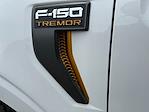 2025 Ford F-150 SuperCrew Cab 4x4 Pickup for sale #SFA04629 - photo 16