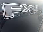 New 2025 Ford F-150 STX SuperCrew Cab 4x4 Pickup for sale #SFA46653 - photo 25