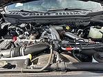 2024 Ford F-250 Crew Cab 4x4 Pickup for sale #SFB19948A - photo 16
