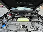 2025 Ford F-150 SuperCrew Cab 4x4 Pickup for sale #SFB24557 - photo 25