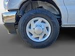 New 2026 Ford E-350 Cutaway for sale #TDD26693 - photo 14