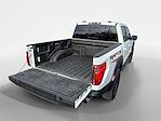 2025 Ford F-150 SuperCrew Cab 4WD Pickup for sale #TFA29843A - photo 20
