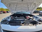 New 2024 GMC Sierra 1500 Pro Crew Cab 4WD Pickup for sale #E13843 - photo 67