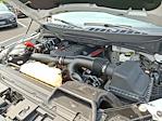 2024 Ford F-150 SuperCrew Cab 4WD Pickup for sale #W50116P - photo 30
