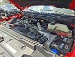 2017 Ford F-350 Crew Cab SRW 4WD Pickup for sale #W50165P - photo 28