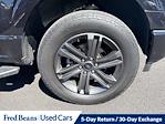 2023 Ford F-150 SuperCrew Cab 4x4 Pickup for sale #W50254P - photo 12