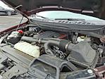 2023 Ford F-150 SuperCrew Cab 4WD Pickup for sale #W502591 - photo 31