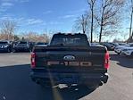 2023 Ford F-150 SuperCrew Cab 4WD Pickup for sale #W50337R - photo 12