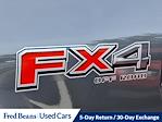 2023 Ford F-150 SuperCrew Cab 4WD Pickup for sale #W506971 - photo 31