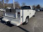 2017 Ford F-250 Regular Cab RWD, Service Truck for sale #WU40717E - photo 2