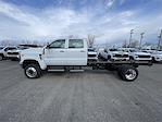 2024 Chevrolet Silverado 5500 Crew Cab DRW 4WD Cab Chassis for sale #CF4T093493 - photo 4