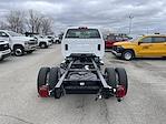 New 2024 Chevrolet Silverado 6500 Work Truck Regular Cab Cab Chassis for sale #CF4T200740 - photo 2