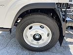 New 2024 Chevrolet LCF 4500HG Regular Cab Cab Chassis for sale #CF4T222249 - photo 6
