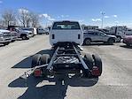 2024 Chevrolet Silverado 5500 Crew Cab DRW 4WD Cab Chassis for sale #CF4T263314 - photo 4