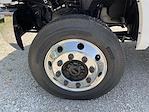2024 Chevrolet Silverado 5500 Crew Cab DRW 4WD Cab Chassis for sale #CF4T263314 - photo 6