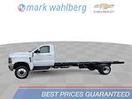 2024 Chevrolet Silverado 5500 Regular Cab DRW 4WD Cab Chassis for sale #CF4T269661 - photo 1