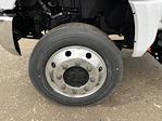 2024 Chevrolet Silverado 5500 Regular Cab DRW 4WD Cab Chassis for sale #CF4T269661 - photo 21