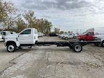 2024 Chevrolet Silverado 5500 Regular Cab DRW 4WD Cab Chassis for sale #CF4T269662 - photo 19