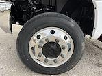 2024 Chevrolet Silverado 5500 Regular Cab DRW 4WD Cab Chassis for sale #CF4T269662 - photo 6