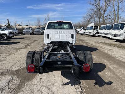 2024 Chevrolet Silverado 5500 Regular Cab DRW 2WD Cab Chassis for sale #CF4T480958 - photo 2