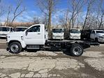 2024 Chevrolet Silverado 5500 Regular Cab DRW 2WD Cab Chassis for sale #CF4T480958 - photo 19