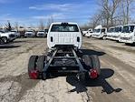 2024 Chevrolet Silverado 5500 Regular Cab DRW 2WD Cab Chassis for sale #CF4T480958 - photo 20